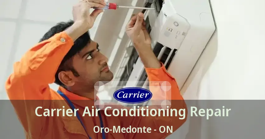 Carrier Air Conditioning Repair Oro-Medonte - ON