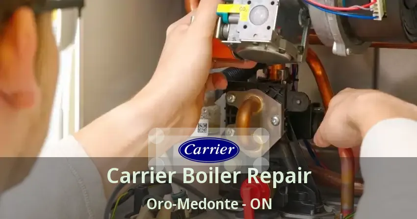 Carrier Boiler Repair Oro-Medonte - ON