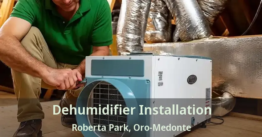 Dehumidifier Installation Roberta Park, Oro-Medonte - ON