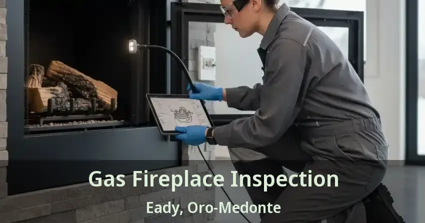 Gas Fireplace Inspection Eady, Oro-Medonte - ON