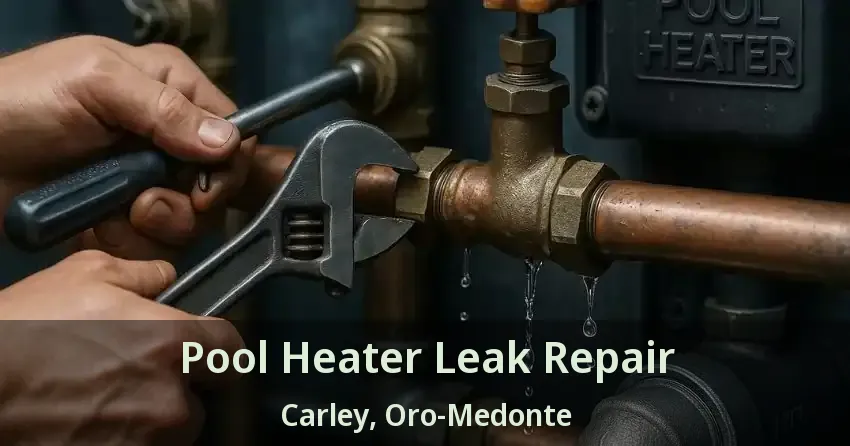 Pool Heater Leak Repair Carley, Oro-Medonte - ON