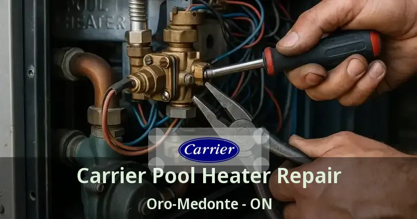 Carrier Pool Heater Repair Oro-Medonte - ON