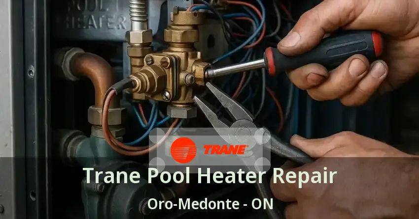 Trane Pool Heater Repair Oro-Medonte - ON